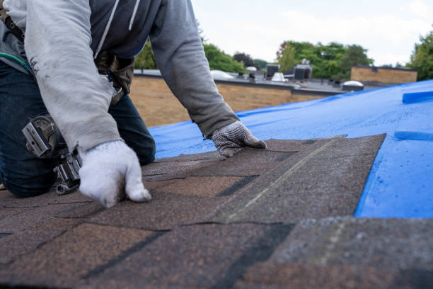 Roof Insulation in Yosemite Lakes, CA